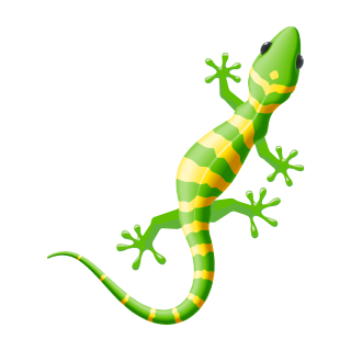 Salamander Aufkleber – wetterfester Tier-Sticker für Auto, Fenster & Co.