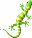 Aufkleber Salamander selbstklebend Sticker Autoaufkleber Motorradhelm Dekoration Wohnwagen Heckscheibenaufkleber Car Set wetterfest 10 x 11 cm