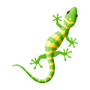 Salamander Aufkleber – wetterfester Tier-Sticker...