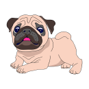 Mops Aufkleber – niedlicher Hundesticker für Auto, Fenster & Co.