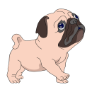 Mops Aufkleber – niedlicher Hundesticker für...