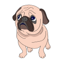 Mops Aufkleber – niedlicher Hunde-Sticker für Auto, Fenster & Co. (14  x 20 cm)