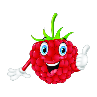 Himbeere Aufkleber – Lustiger Obst Sticker für Auto, Fenster & Co. (22 x 19 cm)