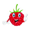 Himbeere Aufkleber – Lustiger Obst Sticker für Auto, Fenster & Co. (22 x 19 cm)