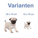 Mops Aufkleber – realistischer Hundesticker...