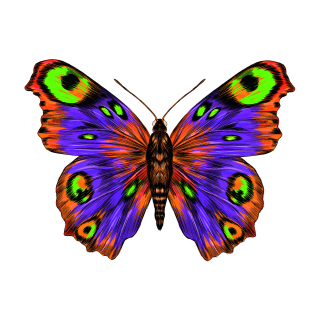 Smile Schmetterling Aufkleber – bunter Auto-Sticker, wetterfest & UV-beständig