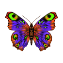 Smile Schmetterling Aufkleber – bunter...