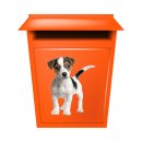 Jack Russell Terrier Aufkleber – realistischer Hundesticker für Auto, Fenster & Co. (10 x 12 cm)