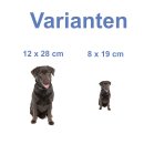 Labrador Fun Aufkleber – realistischer Hundesticker...