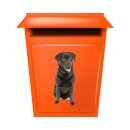 Labrador Fun Aufkleber – realistischer Hundesticker für Auto & Co.