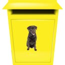 Aufkleber Labrador Hund selbstklebend Sticker Autoaufkleber Motorradhelm Dekoration Wohnwagen Heckscheibenaufkleber Car Set wetterfest 12 x 28 cm