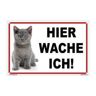 Katzenschild – Hier wache ich! Warnschild Katze für Haus & Garten (20 x 30 cm mit Bohrlöchern)