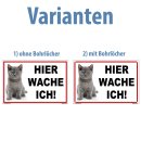 Katzenschild – Hier wache ich! Warnschild Katze für Haus & Garten (20 x 30 cm mit Bohrlöchern)
